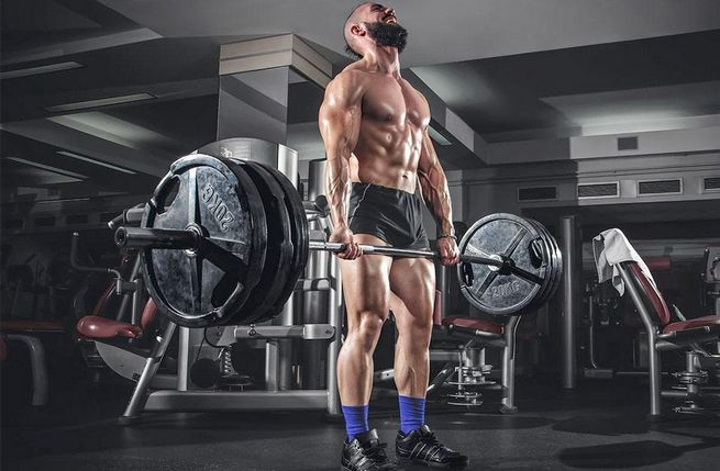 Testosterone Propionate Dosage: A Comprehensive Guide